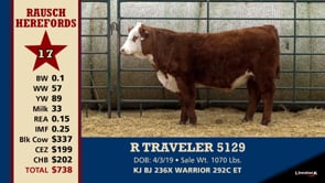 Lot #17 - R TRAVELER 5129