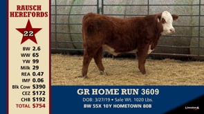 Lot #22 - GR HOME RUN 3609