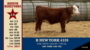 Lot #18 - R NEW YORK 4339