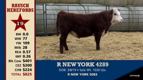 Lot #19 - R NEW YORK 4289