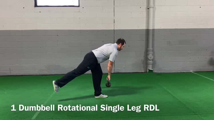 1 Dumbbell Rotational Single Leg RDL