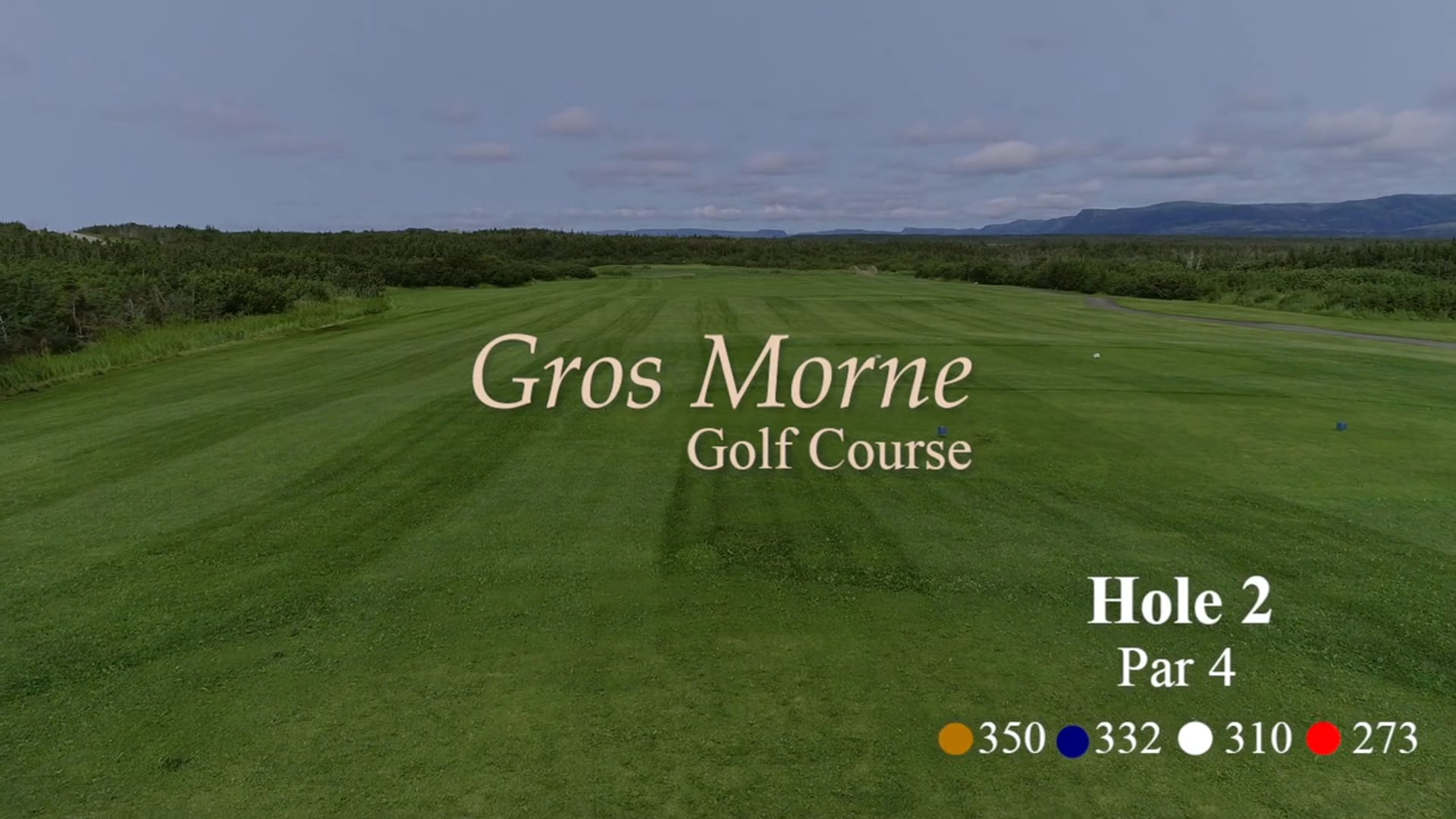 Gros Morne #2