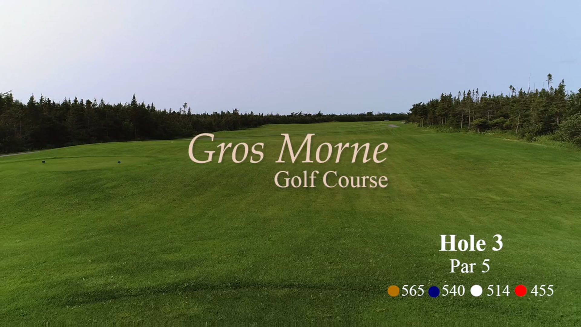 Gros Morne #3