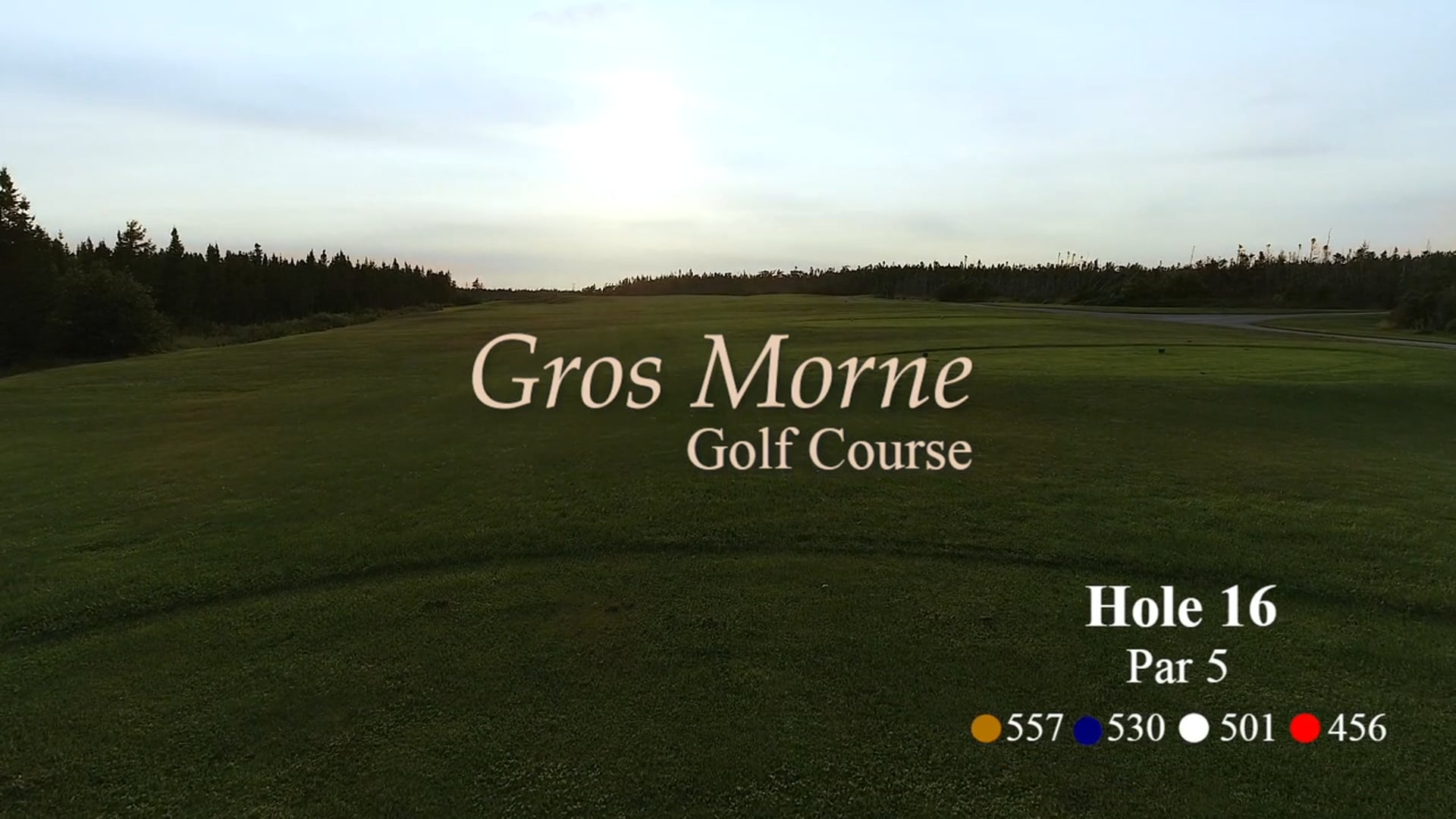 Gros Morne #16