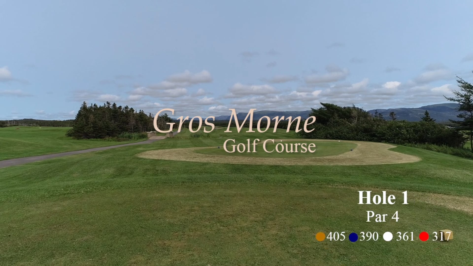 Gros Morne #1