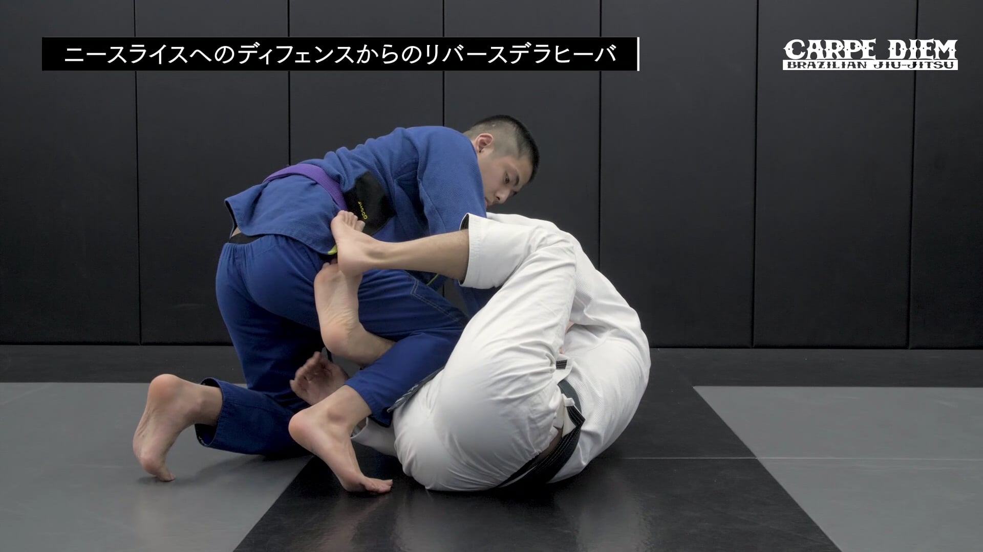 De La Riva 66 橋本知之 ブラジリアン 柔術 BJJ