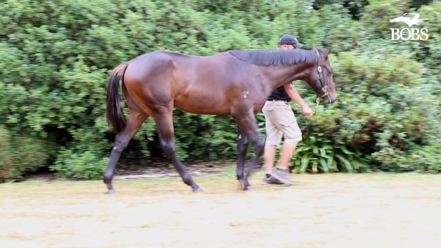 Lot 151