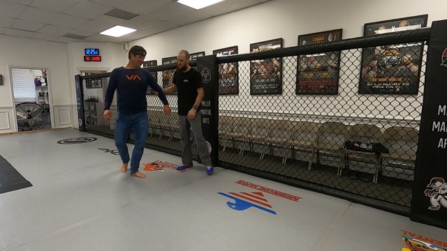 CETS Seminar 16- Defending the Takedown on the Barrier- Standing Sprawl