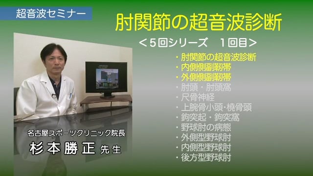 肘関節の超音波診断_1：内・外側側副靭帯編