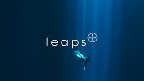 Leaps by Bayer - Into the Abyss