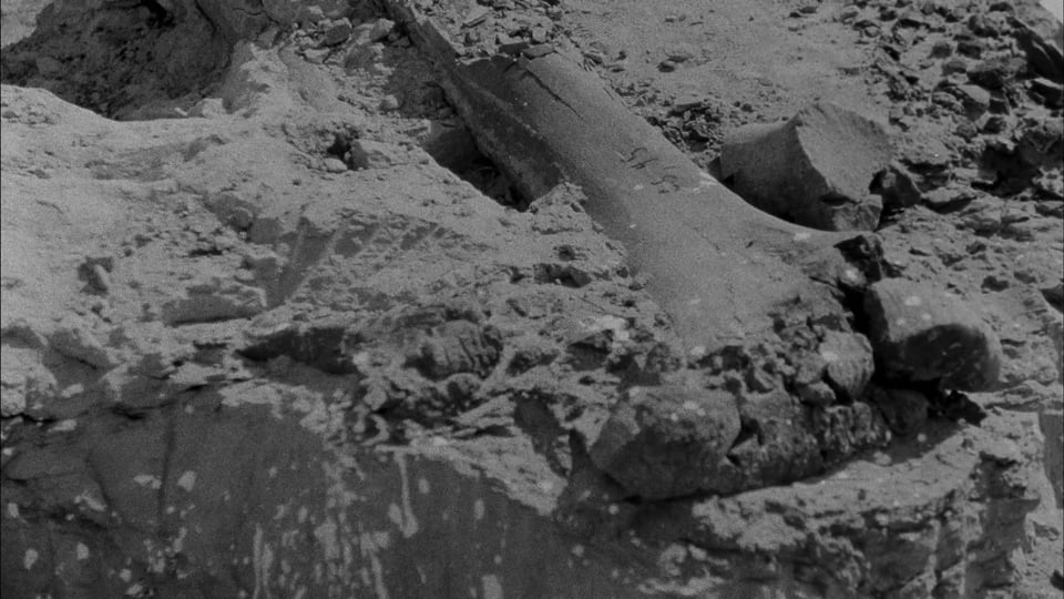 Notes from the Anthropocene