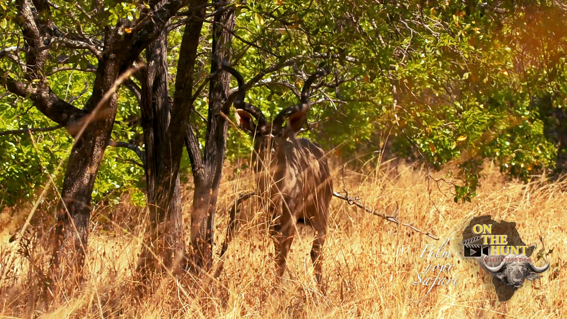 ON THE HUNT MULTIMEDIA