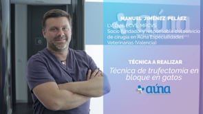 Trufectomía en bloque en gatos