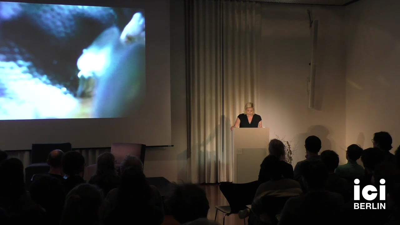 Introduction by Alison Sperling