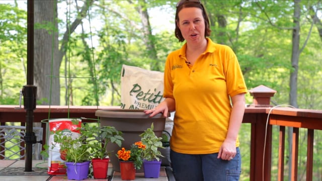 Vegetable Container Garden