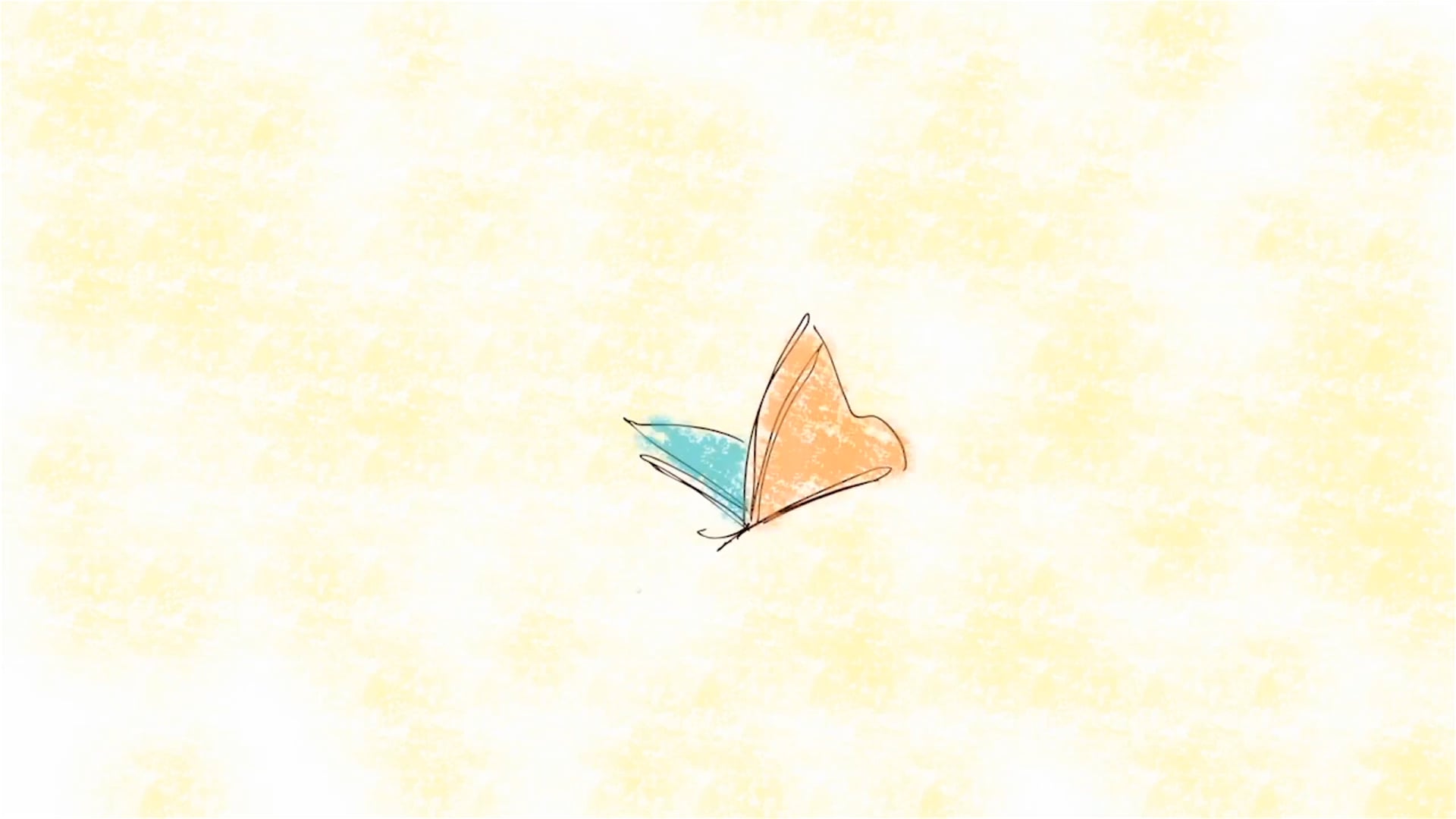 Butterfly Sketch Animation