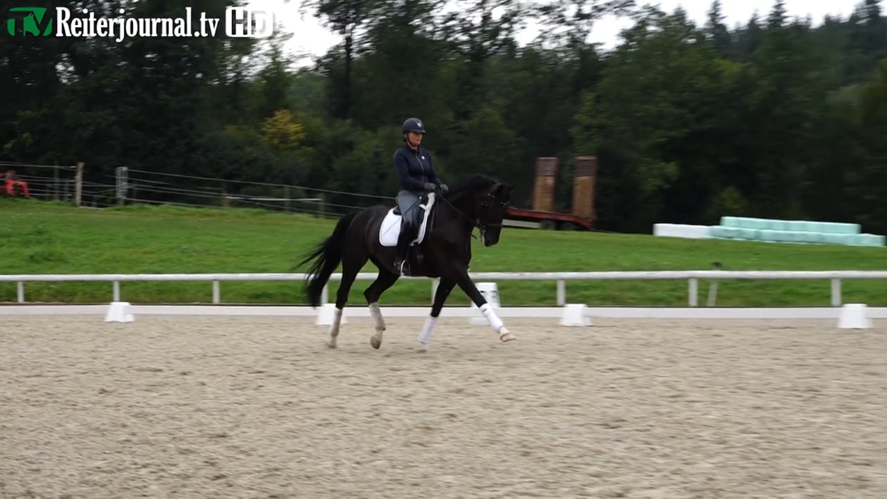 Richtig Reiten mit Ralf Müller und Steffi Lempart, Teil 3 von 3