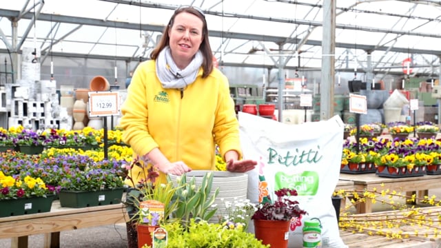 Spring Container Gardening
