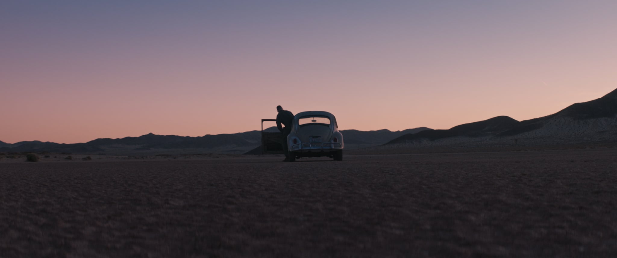 Matthew Chaim Sunflowers (Official Music Video) on Vimeo