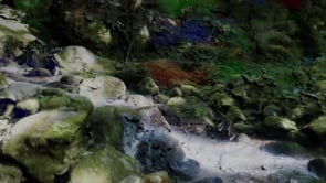 Vimeo thumbnail