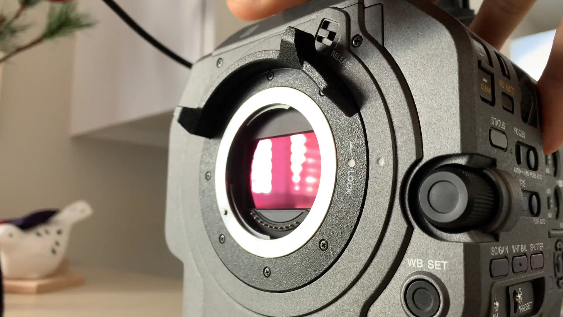 A Look At The New Full-Frame Sony FX9: A Camera Review A Look At The New Full-Frame Sony FX9: A Camera Review
