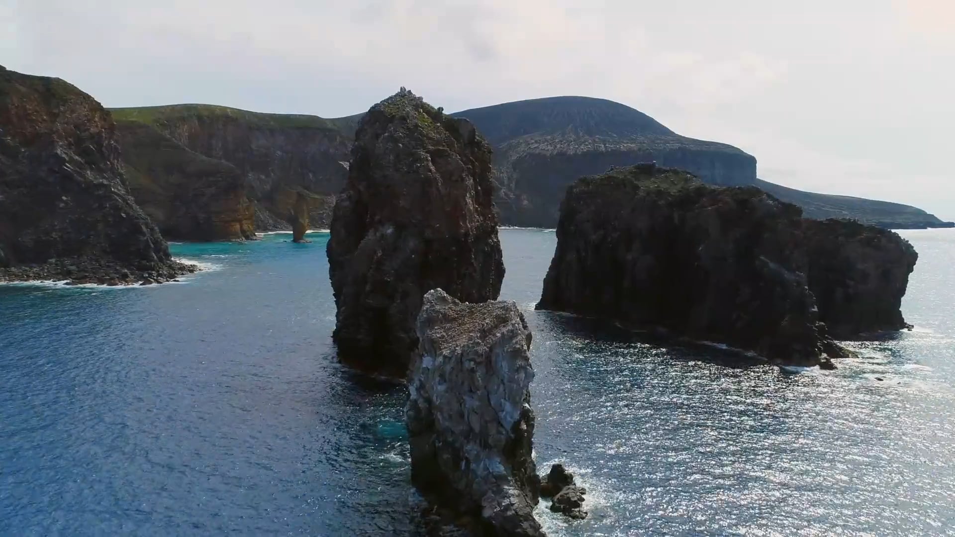 Fins Attached -Sharkwater - HOPE...