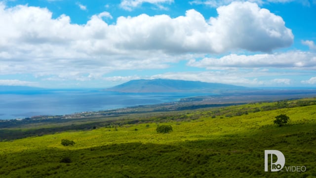 Maui Aerials