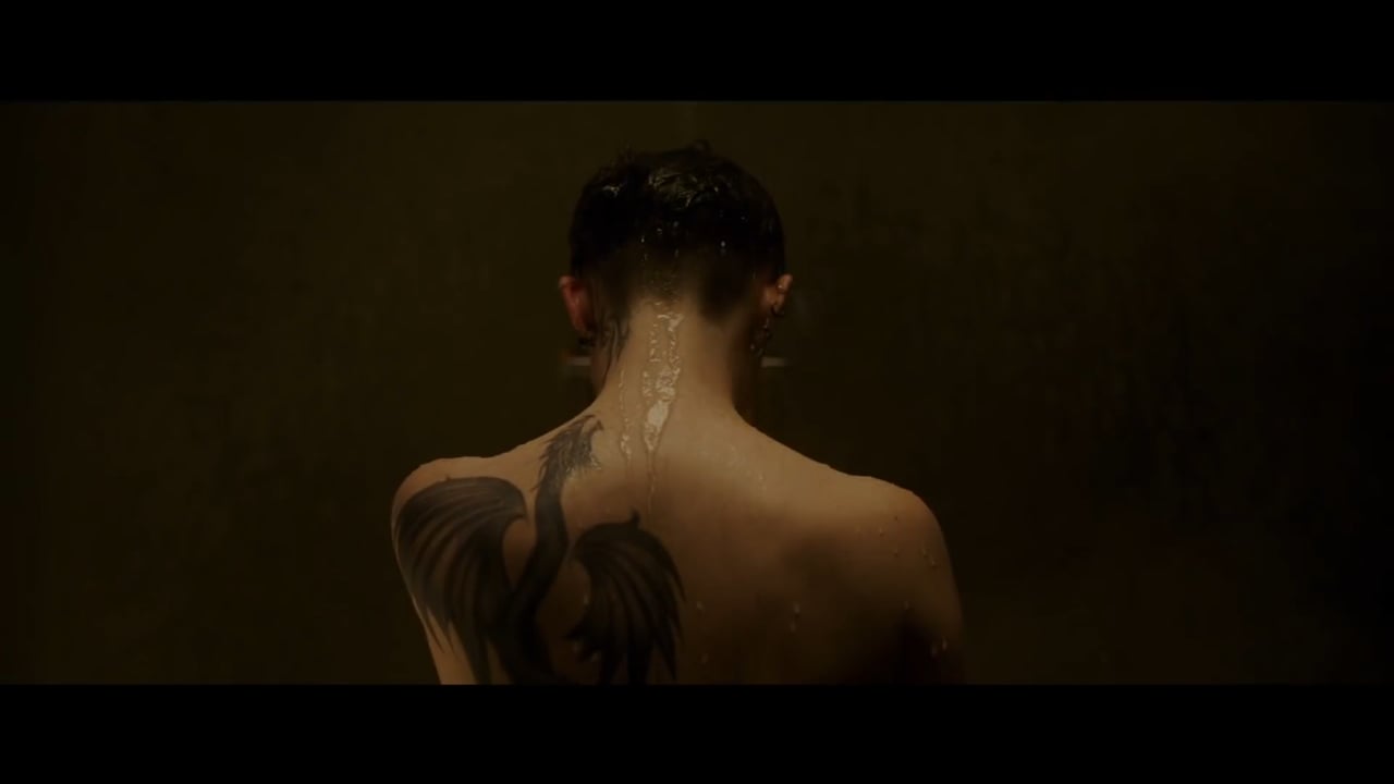 THE GIRL IN THE SPIDER'S WEB