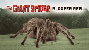 giant spider movie