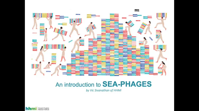 SEA-PHAGES