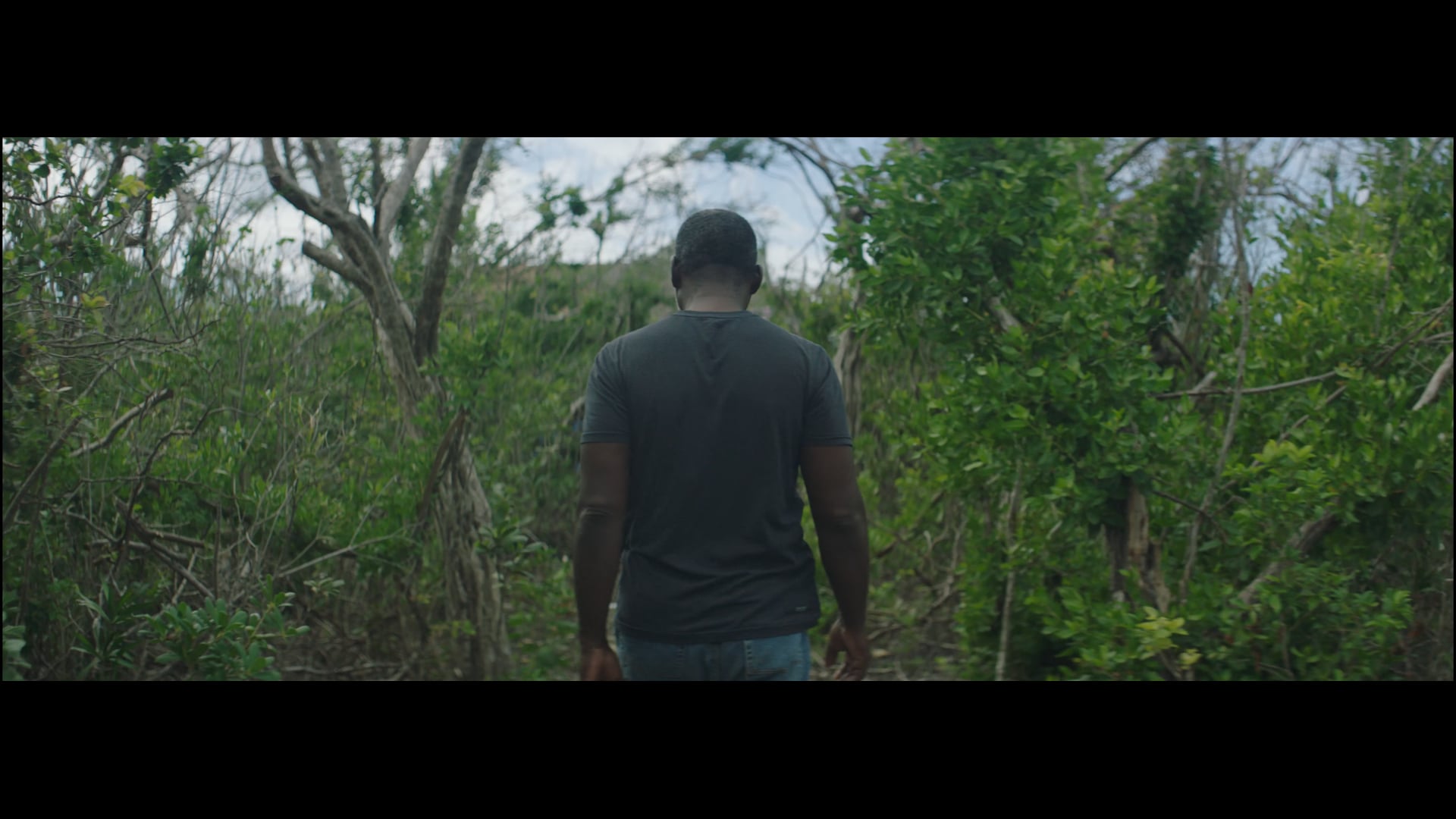 Hurricane Trailer