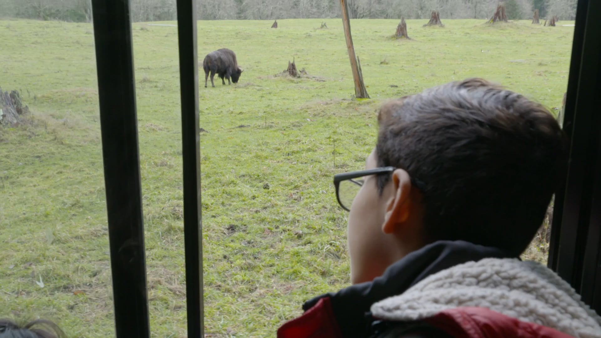 Wildlife Defenders - Northwest Trek, Metro Parks Tacoma