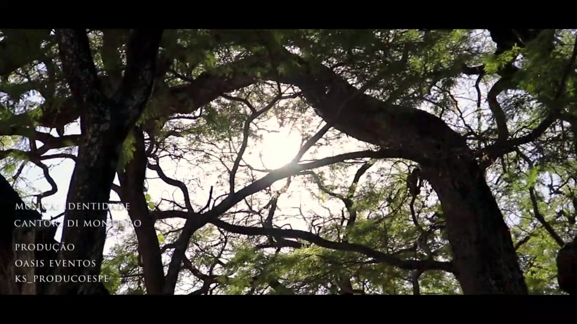 Música Identidade com Di Monteiro | Vídeo clip Recife PE