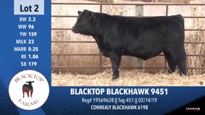 Lot #2 - BLACKTOP BLACKHAWK 9451