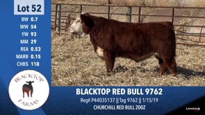 Lot #52 - BLACKTOP RED BULL 9762