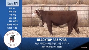 Lot #51 - BLACKTO 33Z 9738