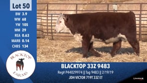 Lot #50 - BLACKTO 33Z 9483