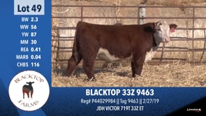 Lot #49 - BLACKTO 33Z 9463