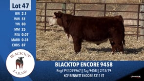 Lot #47 - BLACKTOP ENCORE 9458