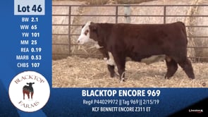 Lot #46 - BLACKTOP ENCORE 969