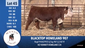 Lot #45 - BLACKTOP HOMESTEAD 907