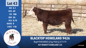 Lot #43 - BLACKTOP HOMESTEAD 9426