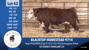 Lot #42 - BLACKTOP HOMESTEAD 9714