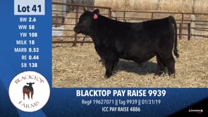 Lot #41 - BLACKTOP PAY RAISE 9939
