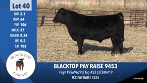Lot #40 - BLACKTOP PAY RAISE 9453