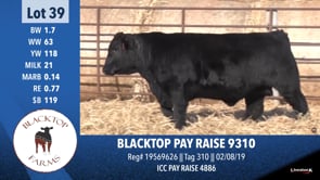 Lot #39 - BLACKTOP PAY RAISE 9310