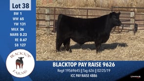 Lot #38 - BLACKTOP PAY RAISE 9626