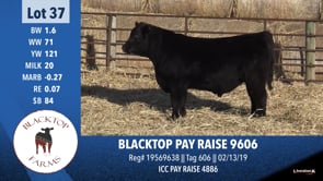 Lot #37 - BLACKTOP PAY RAISE 9606