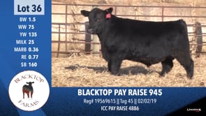 Lot #36 - BLACKTOP PAY RAISE 945