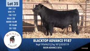 Lot #35 - BLACKTOP ADVANCE 9187